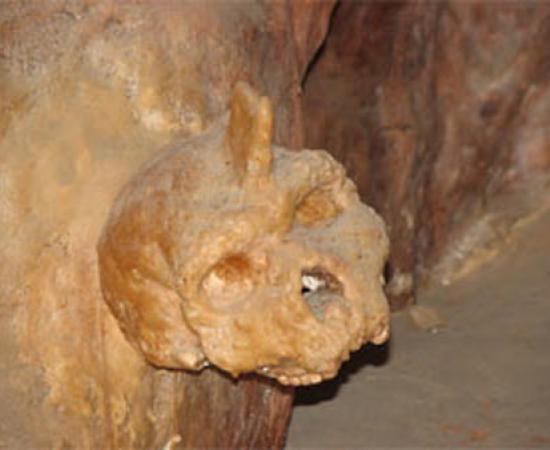 New Information on the Petralona Skull Controversy