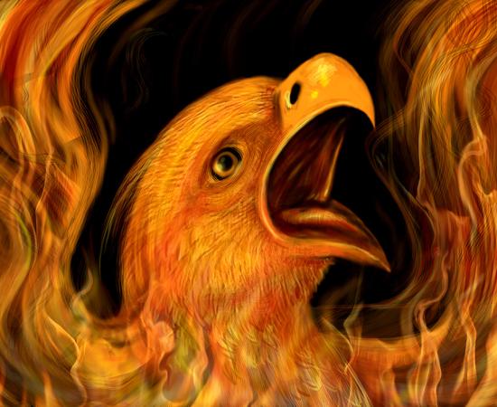 Phoenix bird