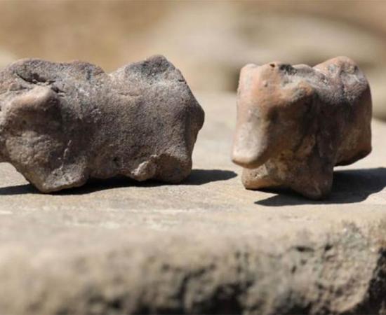 Ancient pig figurines found in Polant Credit: PAP / Grzegorz Momot