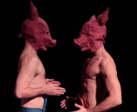 Pig Chimpanzees Hybrids = Humans