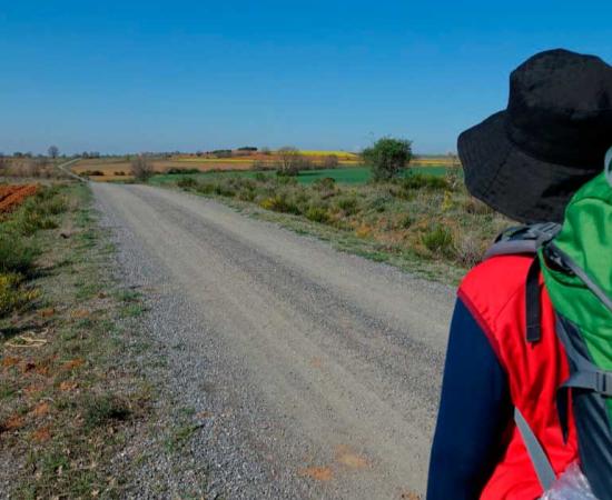 Road to Santiago de Compostela way. Source: Public Domain