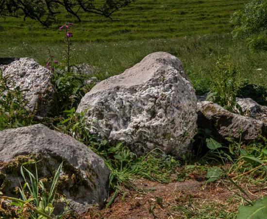 The rare Neolithic polishing stone which was discovered in Dorset. Source: Historic England