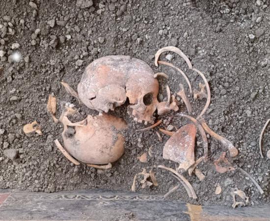 Skeleton of a child, one of four skeletons found during excavations at the House of Elle and Frisso in Pompeii.