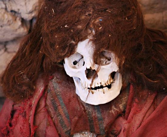 This pre-Incan mummy found in Chauchilla, an ancient cemetery in the desert of Nazca, Peru, is preserved by the dry desert air with hair intact.