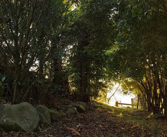 Mass Manipulation & Propaganda