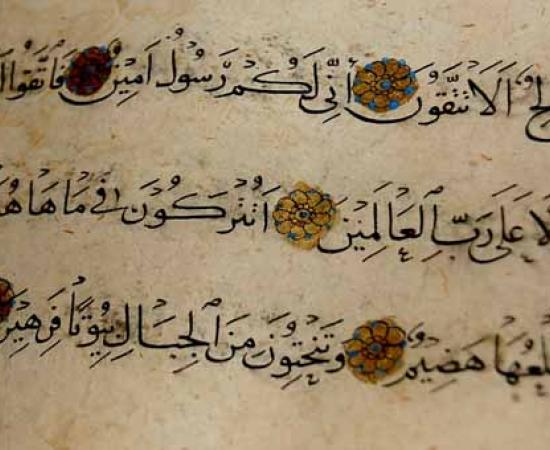 Muslims: The Origins of Human Beings