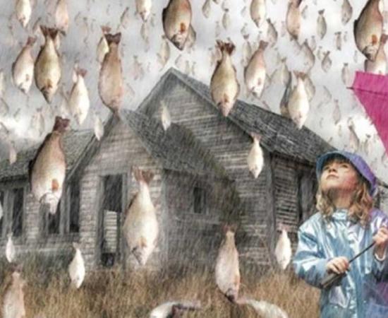 An illustration of raining fish. 