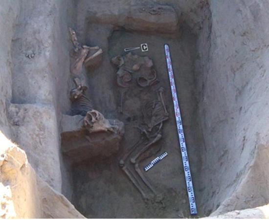 The remains of a Scythian warrior king and his horse. 