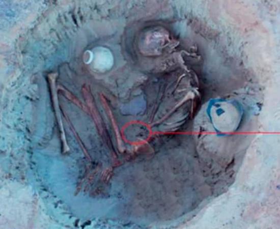 The remains of the Egyptian woman with her unborn child