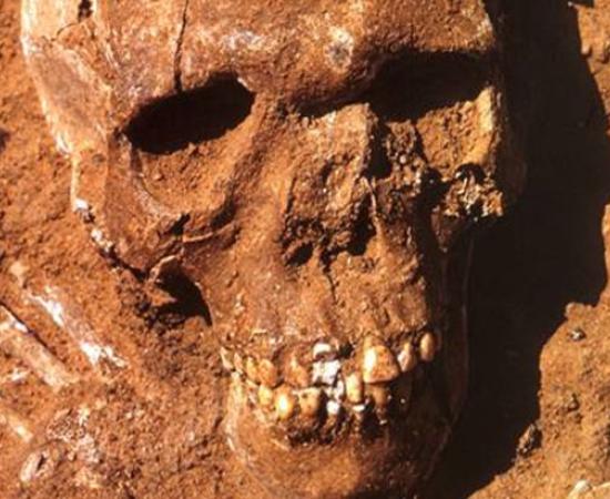 13,000-year-old Saharan remains