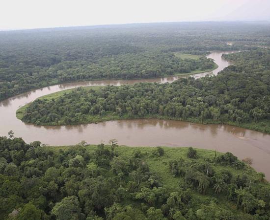 Section of largely unexplored central African rainforest intersected by the Kivu River.