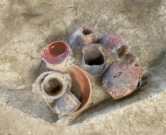 Rice Beer Was Consumed in Sacred Rituals 9,000 Years Ago in China