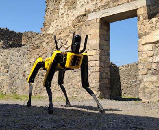 Spot the robotic guard dog, built by Boston Dynamics, is now working at the Pompeii Archaeological Park as a security guard dog and also as an engineering inspection dog. 	Source: Pompeii Archaeological Park