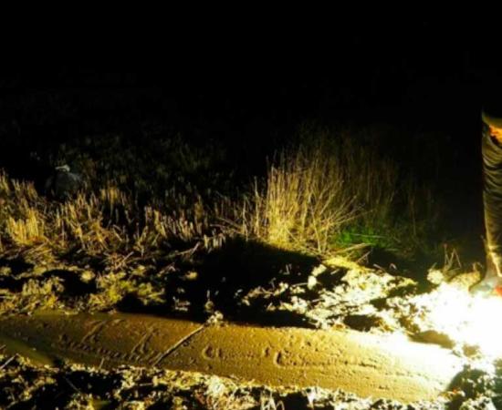 Using torchlight to reveal rock carvings in Norway by night. Source: Fjeld, Klavestad, Tangen / Science in Norway