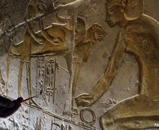 Four New Kingdom rock-hewn tombs discovered in Egypt - Elephantine Island