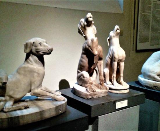 A new study offers fascinating details about the lives of dogs who were ritually sacrificed to the Roman gods in the first and second centuries in Britain.