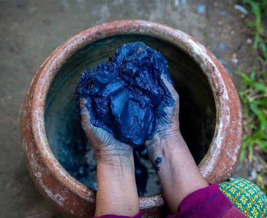 Indigo dye. Source: Thirawatana / Adobe Stock.