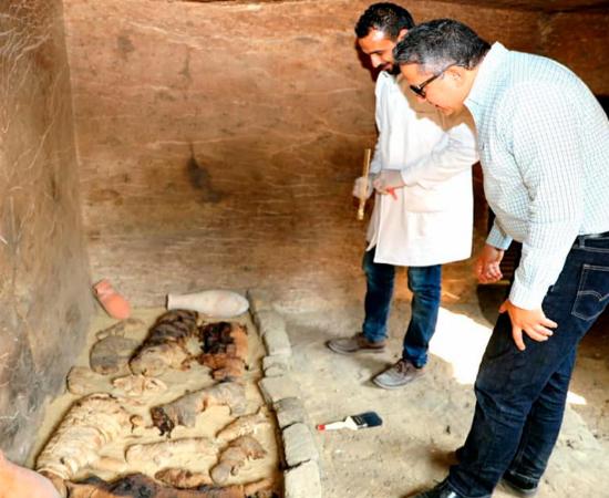 The remains of a sarcophagus containing mummified cats. Credit: Ministry of Antiquities