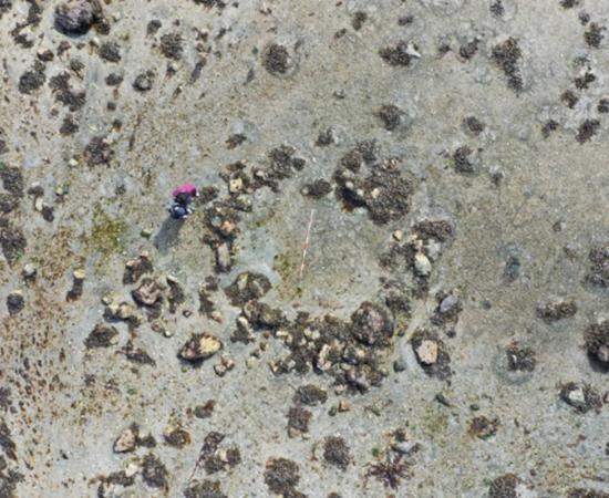 Ancient circular stone alignment found at Sconser on Isle of Skye.