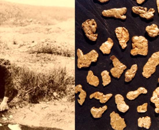 Panning for gold in Kildonan. (slains-castle) Alluvial gold from Kildonan Burn, Helmsdale, Suth-erland.