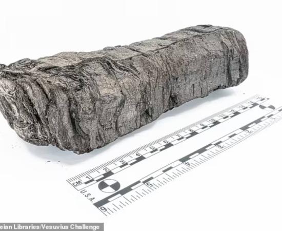 Scientists have virtually unfurled PHerc. 172, one of three Herculaneum scrolls now housed at the Bodleian Libraries in Oxford.