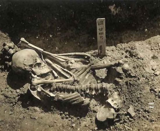 It wasn't until nearly 100 years after Tsukumo No. 24's excavation that a cause of death was finally assigned, which was death by shark attack! The Jomon-era Japanese man is now the oldest ever known shark attack victim.