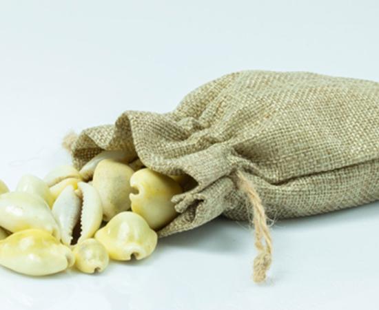 Cowrie shell money. Source: tradol / Adobe.