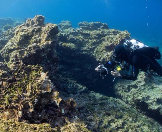 Three Ancient Shipwrecks Still With Cargo Found Off Greek Island