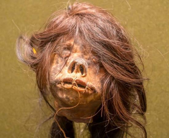 “International” Shrunken Head From Ecuador Returns Home