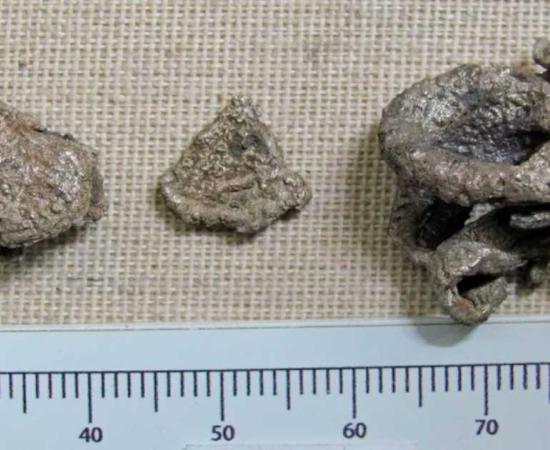 Hacksilver found in Israel. These nonstandard bits of damaged and aesthetically unpleasing pieces of silver that were used for commerce. Source: Lena Kuperschmidt/ Israeli Antiquities Authority