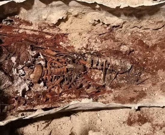 The skeletal remains of the girl found at the Alcázar burial were discovered with arms flexed and crossed over her thorax