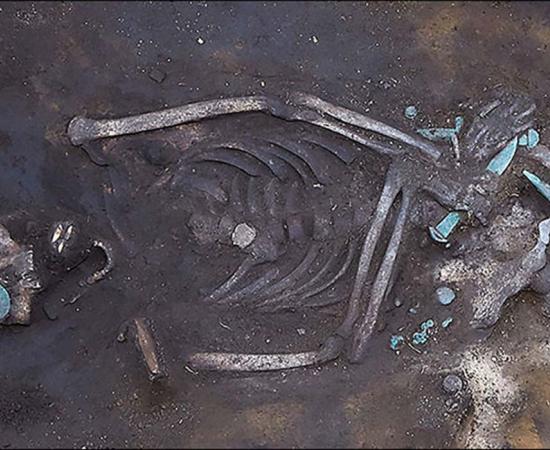 The remains of the ancient warrior.  Picture: Channel12