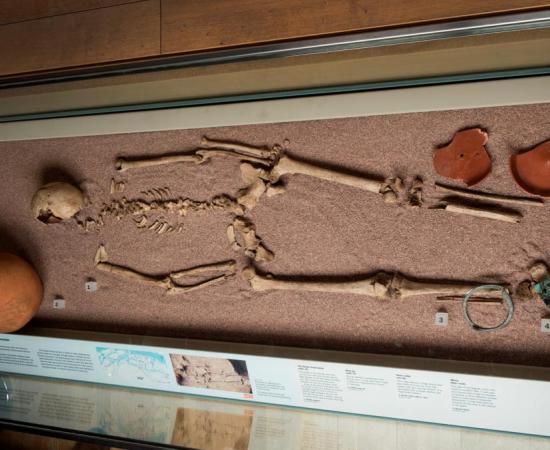 This skeleton was of a woman who was a first generation Londoner with northern European ancestry who was likely born in Britain. She was buried with grave goods that made researchers think she was of high status in her community.