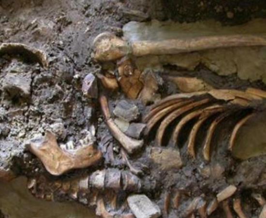 DNA was extracted from the molar teeth of this skeleton, dating from almost 10,000 years ago and found in the Kotias Klde rockshelter in Western Georgia.