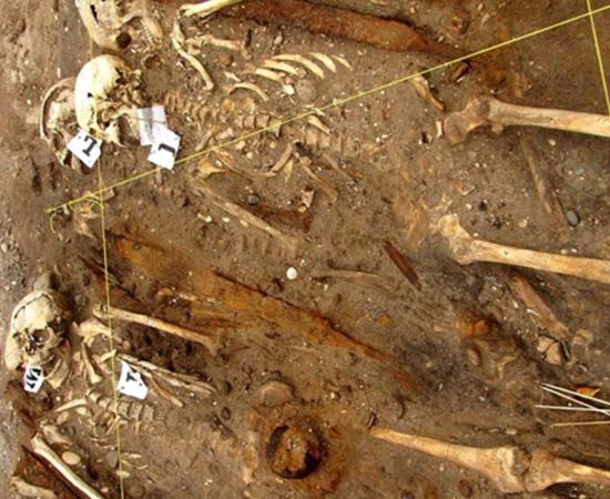 Some of the skeletons found on one of the two Viking ships. 