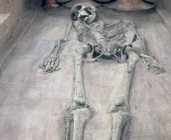 Skeletons of Harappan Civilization
