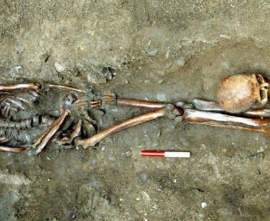 One of the skeletons excavated by York Archaeological Trust at Driffield Terrace had his head positioned near his feet. 