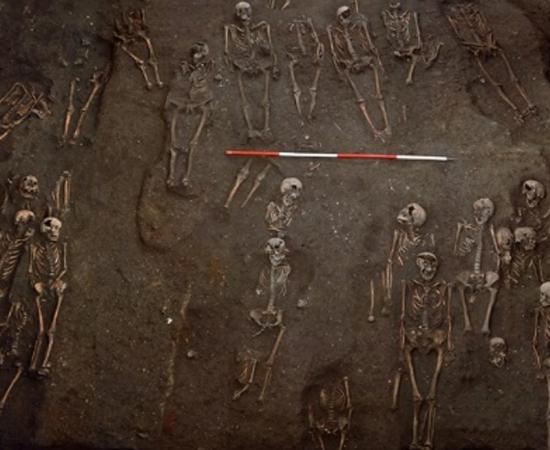 Numerous skeletons of sexually perverse Nuns discovered in Oxford