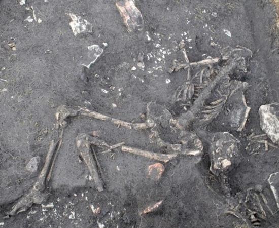 In house 40 in the Sandby borg ringfort, the skeletons of two young men were found right inside of the door. Further into the house were more human remains.