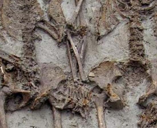 The skeletons buried in Italy have been holding hands for around 1500 years. Source: ArcheoModena 