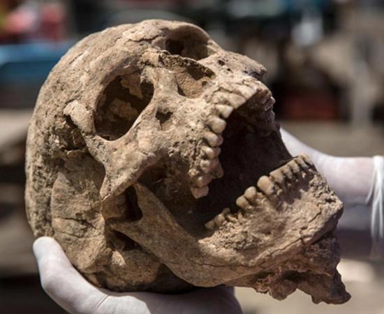 Human remains buried almost 3,000 years ago in southern Israel may help researchers finally solve the mystery of the Philistines' origins.