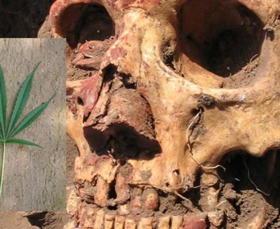 Yamnaya skull from the Samara region colored with red ochre.