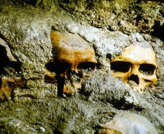Newly discovered skulls at the Templo Mayor complex in Mexico.