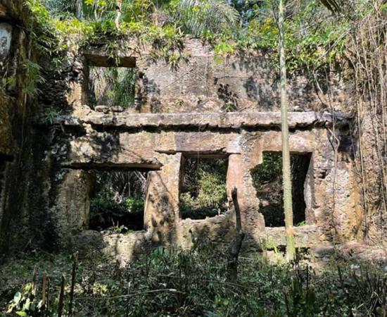 Praia Melão, a sugar mill and slavery plantation, situated on São Tomé, stands as the primary focus of archaeological exploration on the island.	Source: M.D. Cruz/Antiquity Publications Ltd