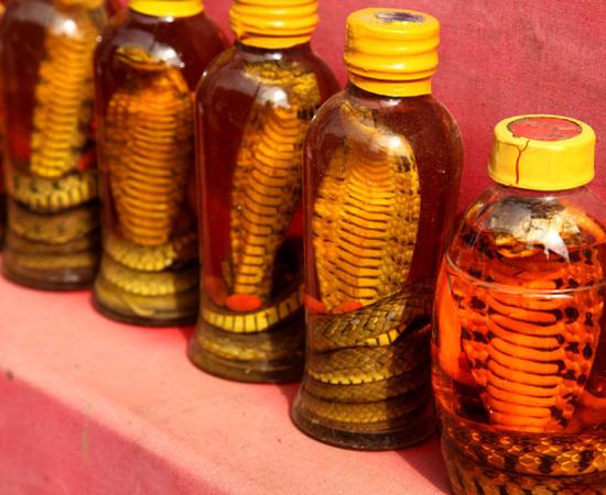 Snake oil in Sapa.