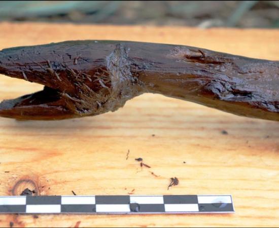 The wooden snake staff was discovered in south-west Finland. Source: Satu Koivisto/Antiquity Publications Ltd