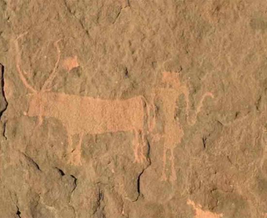 A strong relationship between human and animal: a cow with a modified ‘neck’ pendant and horns. 	Source: Julien Cooper/The Conversation