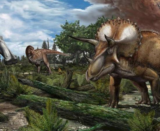 Reconstruction of a late Maastrichtian (~66 million years ago) palaeoenvironment in North America, where a floodplain is roamed by dinosaurs like Tyrannosaurus rex, Edmontosaurus annectens and Triceratops prorsus.