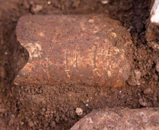 Lines On A Wild Cow Bone May Be 120,000-Year-Old Symbols