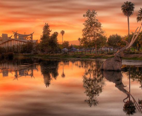 LA Tar Pits